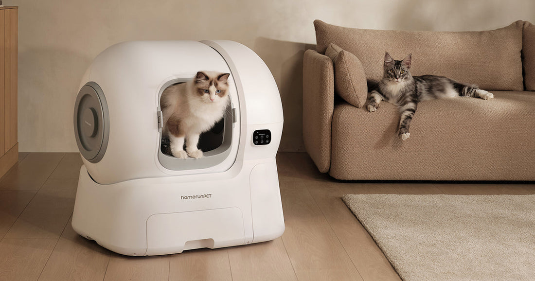 自動猫トイレが猫の飼い主にとって「革命的」である理由