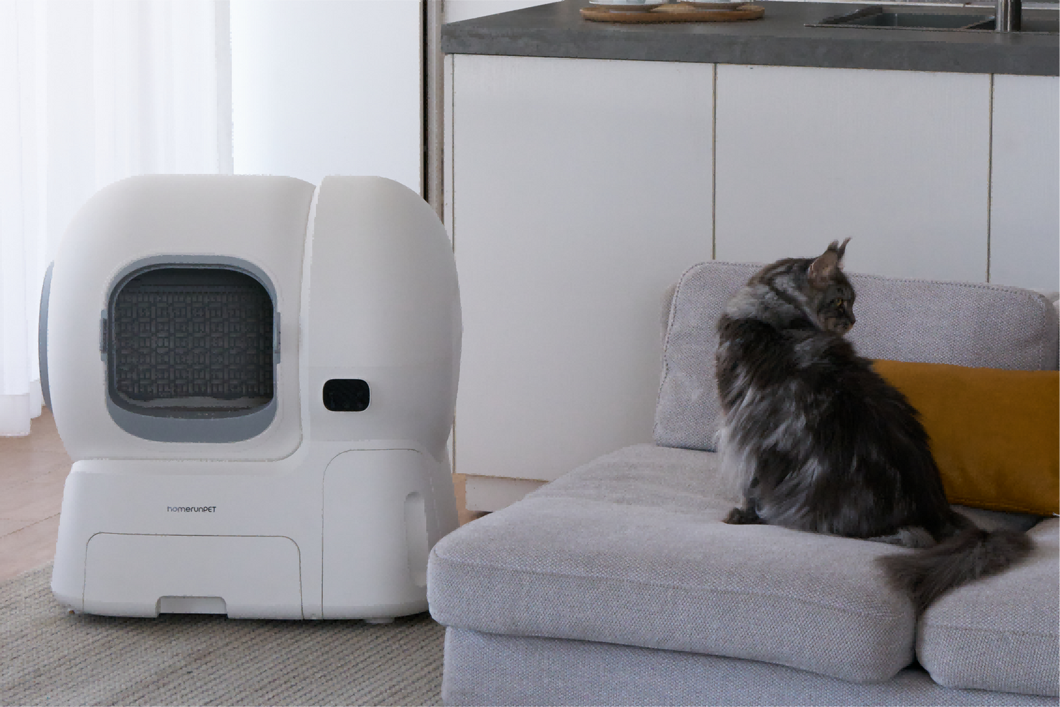 猫トイレが「狭すぎる」とき、そのストレスは家全体に広がります