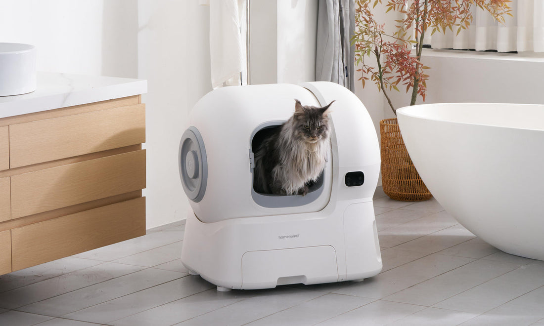 愛猫に最適な自動猫トイレの選び方：完全購入ガイド