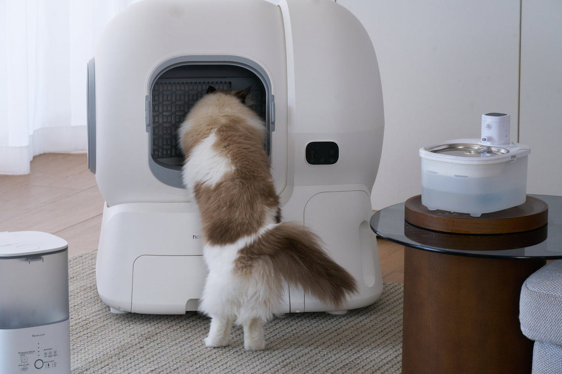 カオスから快適へ：多頭飼いの家庭を劇的に変えるhomerunPET自動猫トイレCS106